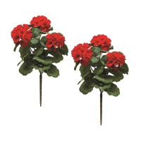 Geranium Bush Set of 2