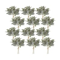 Lambs Ear Bundle Set Of 12