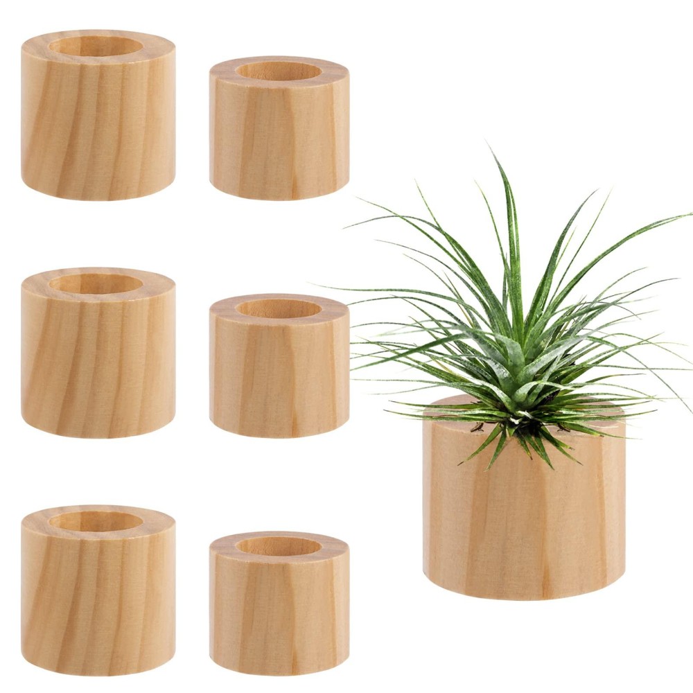 Set Of 6 Wood Air Plant Holder 2 Sizes Rustic Style Air Plant Pots Indoor Decorative Air Plants Display Containers Table Center