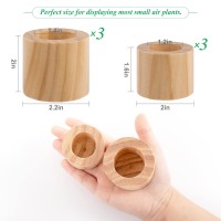 Set Of 6 Wood Air Plant Holder 2 Sizes Rustic Style Air Plant Pots Indoor Decorative Air Plants Display Containers Table Center