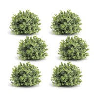 Boxwood Half Orb Set of 6