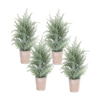 Potted Icy Pine Tree Set of 4