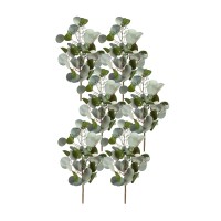 Eucalyptus Spray Set of 6