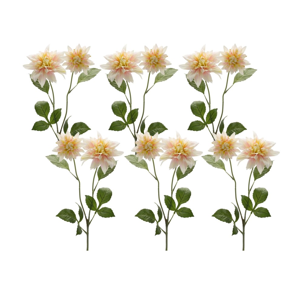 Dahlia Stem Set of 6