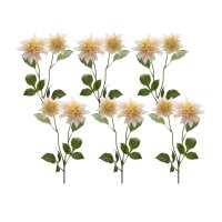 Dahlia Stem Set of 6