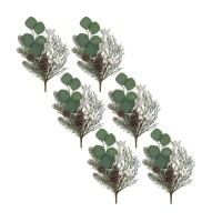 Pine and Eucalyptus Pick Set of 6