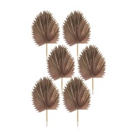 Fan Palm Leaf Set of 6