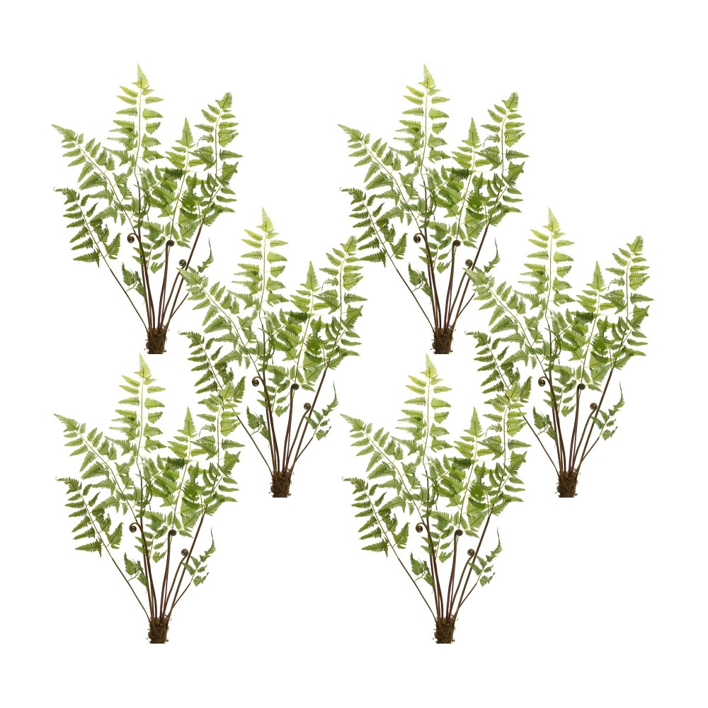 Fern Bundle Set of 6