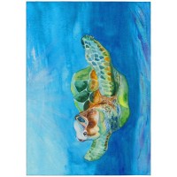 IndoorOutdoor Harbor HA3 Ocean Washable 8 x 10 Rug