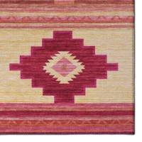 IndoorOutdoor Phoenix PH1 Rose Washable 23 x 76 Runner Rug