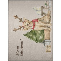 IndoorOutdoor Wonderland WN8 Beige Washable 30 x 46 Rug