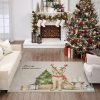 IndoorOutdoor Wonderland WN8 Beige Washable 30 x 46 Rug