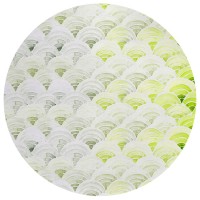 IndoorOutdoor Seabreeze SZ5 LimeIn Washable 8 x 8 Round Rug