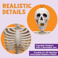 Joyin 2 Pcs 16 Inches Halloween Skeletons Full Body Posable Joints Skeletons For Halloween Graveyard Decorations Haunted House