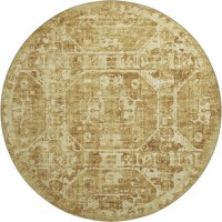 Aberdeen AB2 Gold 8 x 8 Round Rug