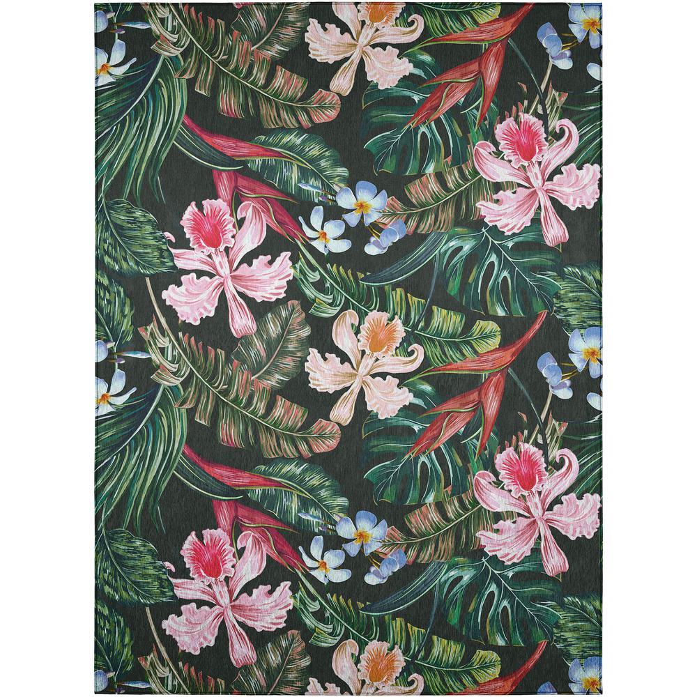 IndoorOutdoor Tropics TC6 Black Washable 3 x 5 Rug