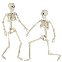 Xonor Halloween Skeleton Full Body Posable Joints Skeletons 3Ft Plastic Human Skeleton Decorations For Halloween Party Haunted