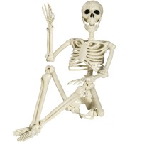 Xonor Halloween Skeleton Full Body Posable Joints Skeletons 3Ft Plastic Human Skeleton Decorations For Halloween Party Haunted