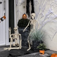 Xonor Halloween Skeleton Full Body Posable Joints Skeletons 3Ft Plastic Human Skeleton Decorations For Halloween Party Haunted