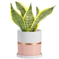 Ekirlin 8 Inch Plant Pot Ceramic Flower Planters Indoor Modern Succulents Containers With Drain Hole Saucer Decorate Home