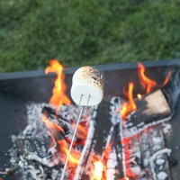 Mallome Marshmallow Roasting Sticks Smores Skewers For Fire Pit Kit Hot Dog Camping Accessories Campfire Marshmellow 32 Inch