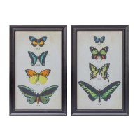 Framed Butterfly Print Set of 2