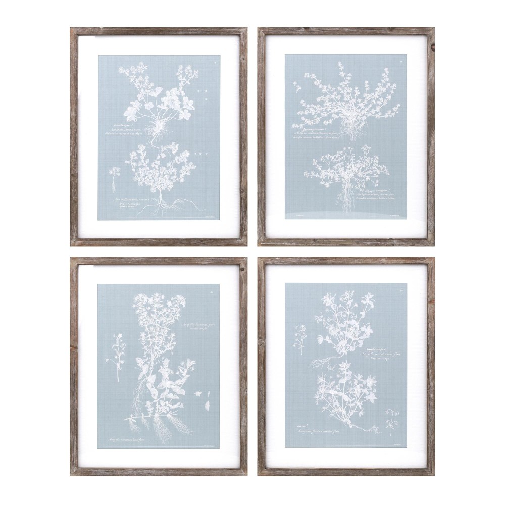 Framed Floral Print Set of 4