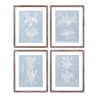 Framed Floral Print Set of 4