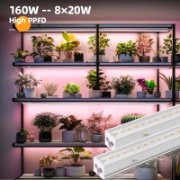 Barrina T5 Grow Lights Full Spectrum 4Ft 160W 8 X 20W 1000W Equivalent Led Grow Light Bulbs Plant Lights For Indoor Plant