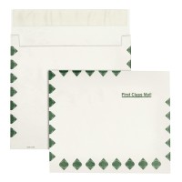 Quality Park Survivor R4620 Tyvek Book Expansion Mailer First Class 10 X 13 X 2 White 100Box