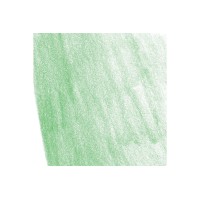 Fabercastell Polychromos Artists Single Pencil Colour 112 Leaf Green