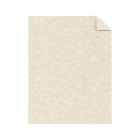 Astrobrights Specialty Parchment Card Stock Natural Letter 85 X 11 65 Lb Pack Of 100