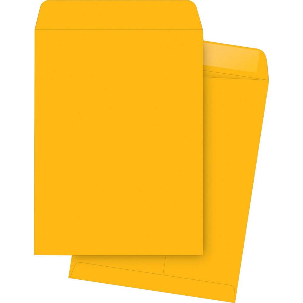 Business Source Large Formatcatalog Envelopes Catalog Envelope 10X13 42101