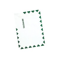 Survivor R1470 Tyvek Openend Envelope 1St Class 9Inch X12Inch 100Bx We