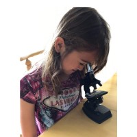 The Magic School Bus Microscope Lab