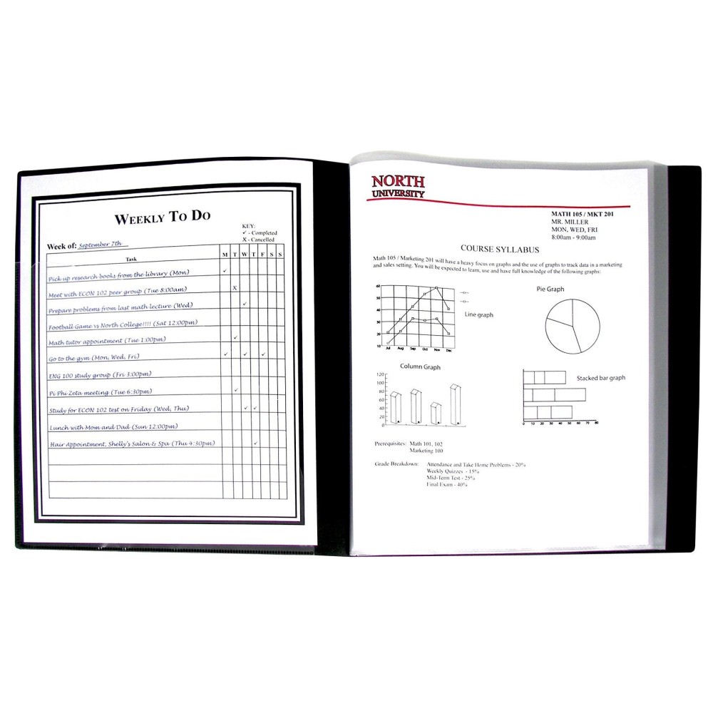 Cline 12Pocket Bound Sheet Protector Presentation Book 24Page Capacity For 85 X 11Inch Inserts Black 33120