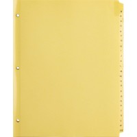 Business Source Az Clear Plastic Tab Index Dividers