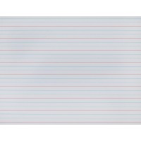 Pacon Multisensory Raised Ruled Paper Sheets Filmwrapped 58 X 516 X 516 Ruled 11 X 812 Ruled Long 100 Shee