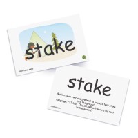 Snapwords Nouns 1 Pocket Chart Cards