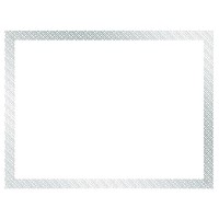 Great Papers Braided Silver Foil Certificate For Awards Achievements Graduations And Accomplishments 85 X11 Pri