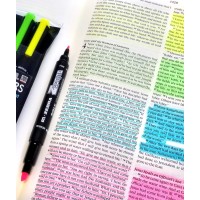 Gt Luscombe Company Inc Zebrite Double Ended Bible Highlighter Set No Bleed Pigmented Ink No Fading Or Smearing Double