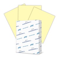 Hammermill Colored Paper 20 Lb Canary Printer Paper 85 X 111 Ream 500 Sheets Made In The Usa Pastel Paper 103341R 1 R