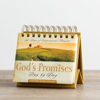 Gods Promises Day By Day 365 Days Of Inspirational Thoughts An Inspirational Dayspring Daybrightener Perpetual Calendar