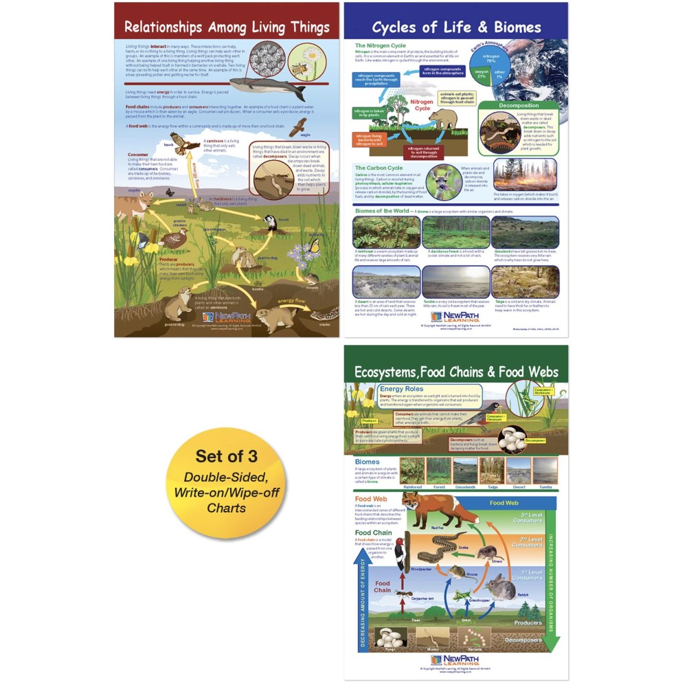 Newpath Learning Ecology Bulletin Board Charts Set3 Laminated Doublesided Fullcolor 12 X 18 947007