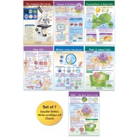 Newpath Learning Cells Bulletin Board Chart Set Grades 35 12 X 18 Inch Full Color