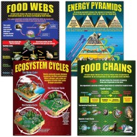 Mcdonald Publishing Mcp059 Ecosystems Teaching Poster Set 17 X 22 Inch