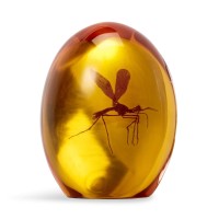 Jurassic Park Mosquito In Amber Resin Prop Replica Official Jurassic Park Collectible Paper Weight Measures 3 Inches Tall