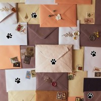 Starliboo Paw Print Stickers 15 Inch Dog Paw Stickers 600Pcs Puppy Paw Stickers Clues Paw Print Stickers And Bear Paw Sticke