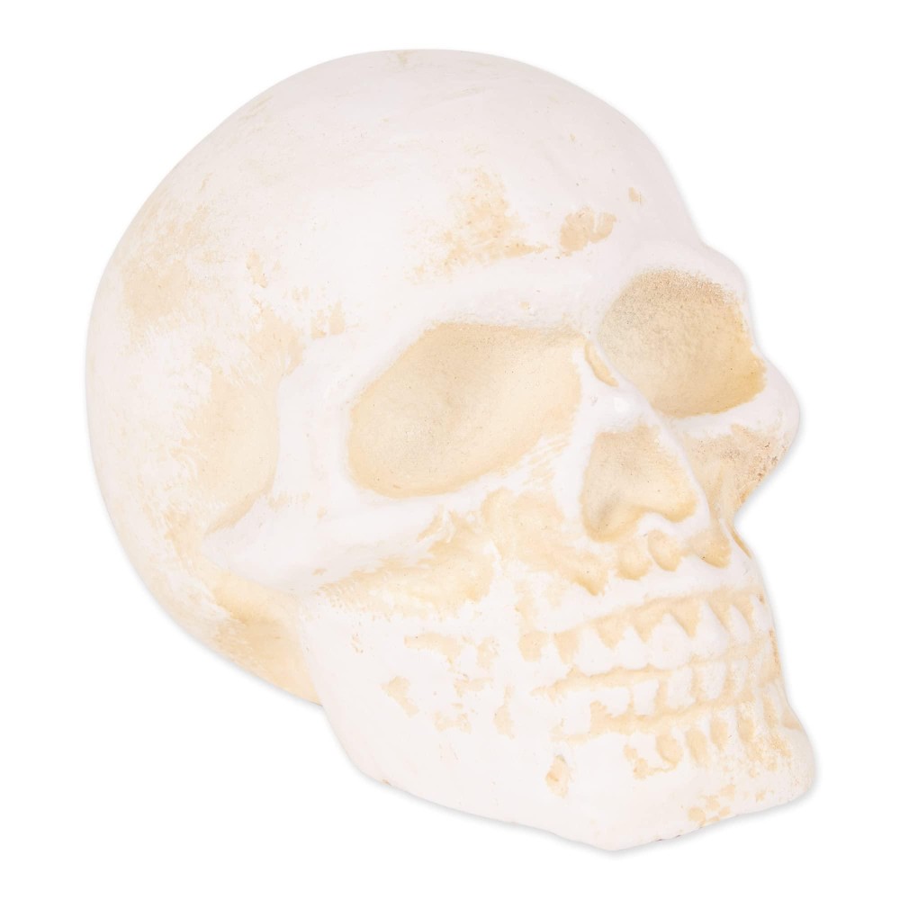 Human Skull Cast Iron Paperweight Skull