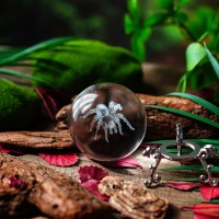 Hdcrystalgifts 2 Inches 3D Spider Crystal Decorative Ball With Stand 3D Laser Engraved Animal Figurine Glass Full Sphere Table